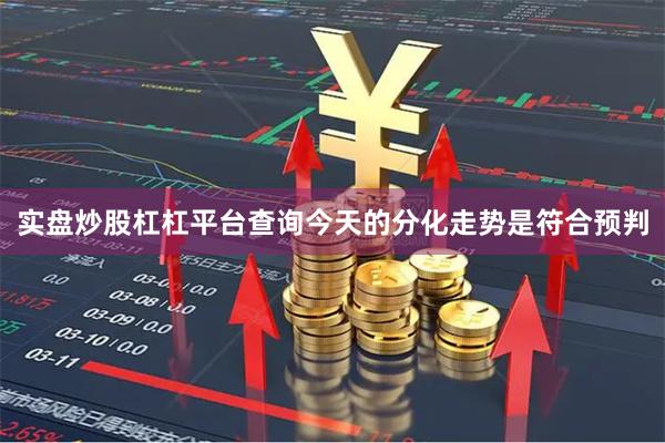 实盘炒股杠杠平台查询今天的分化走势是符合预判